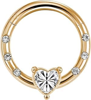 LunaLoop Hoop Nose Rings for Women Septum Nose Rings Gold Silver 16g Nose Piercings Jewelry 316L Surgical Steel Conch Rook Helix Piercing Jewelry CZ Cartilage Hoop Earring