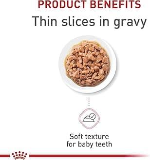Royal Canin Feline Health Nutrition Kitten Thin Slices in Gravy Cat Food, 3 oz (Pack of 6)