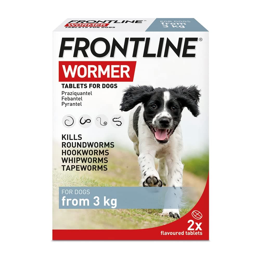 WORMER - Worming Tablets for Dogs - 2 Tablets