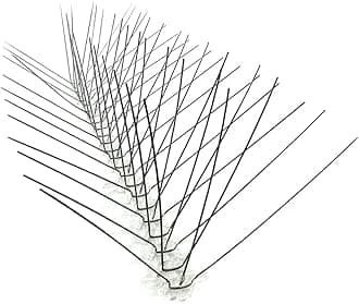 STS-24 Regular Width 6-inch Stainless Steel Bird Spikes, Metal Pigeon Barrier, 24 Feet 6 Inch Wide Coverage