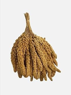 1Kg Natural Premium Yellow Millet Bird Seed Sprays