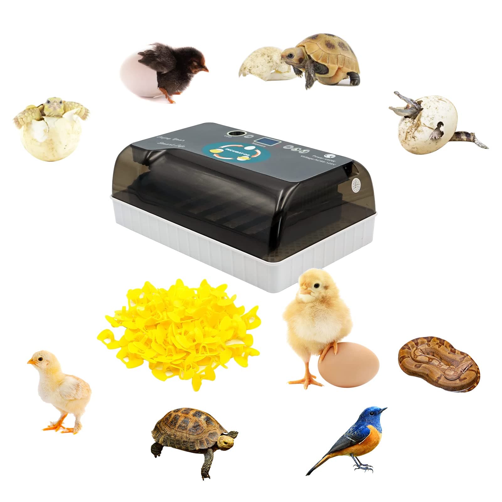 12 Egg Incubator Fully Automatic Brooding Machine for Silkies with 100pcs Chicks Glasses Eggs Candler Auto Turning Incubator Bird Hatching Machine for Hatching Beginner