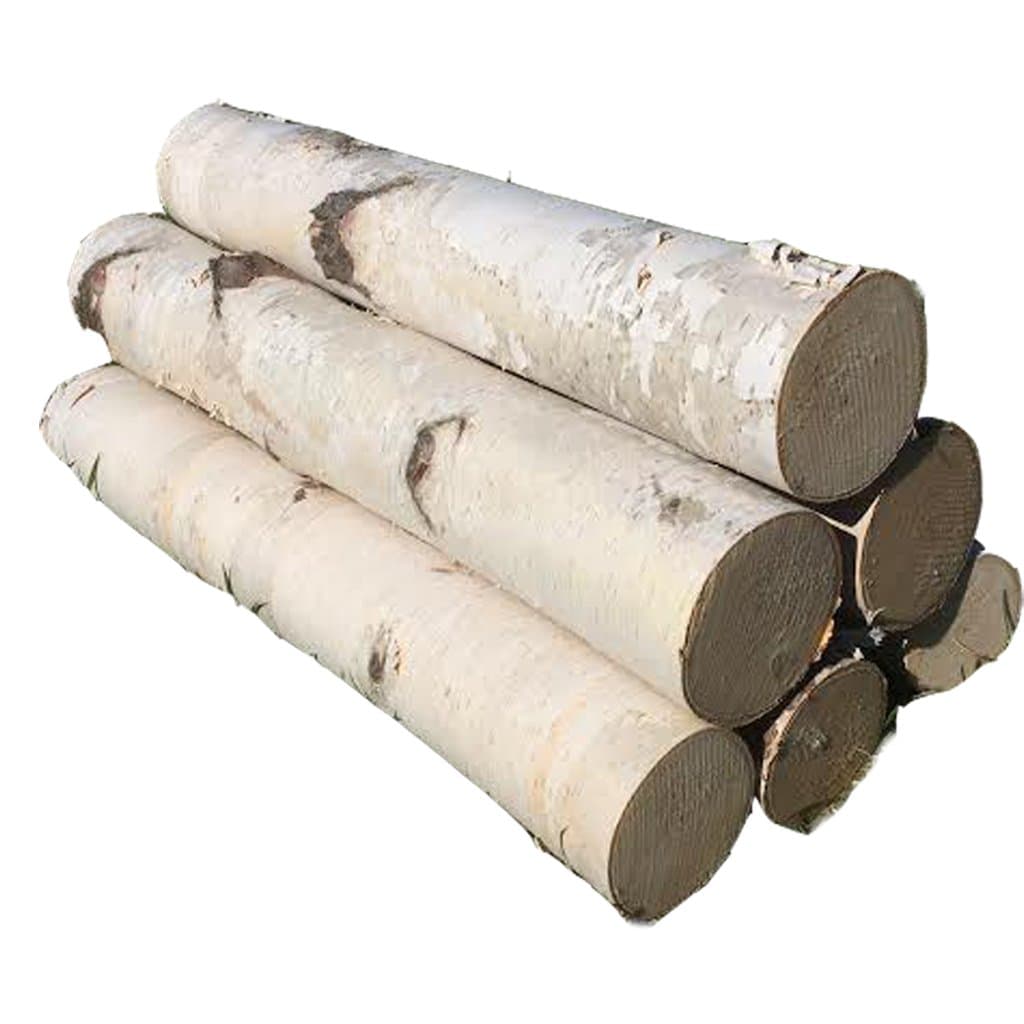 White Birch Log Set for Fireplace 24"