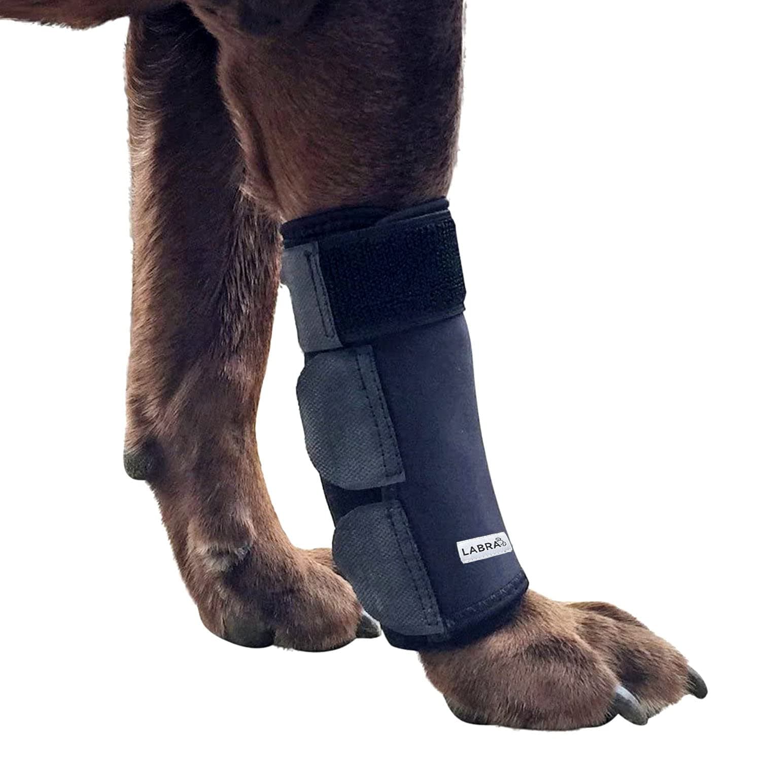 Labra Dog Front Leg Brace - Compression Wrap with Adjustable Straps - Dog Wrist Brace for Support - Leg Sleeve to Stop Licking - Aid in Wound Care and Recovery - Large/Extra Large