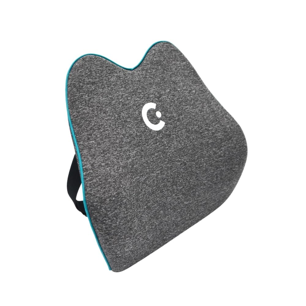 Cubii Cushii V2 Back Support Cushion for Back and Lower-Back Pain Relief Universal Fit for Desk, Office, Kitchen Chairs, Couch Cushions with Advanced Lumbar Support
