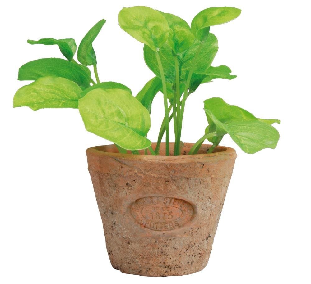 Artificial Herb Plant, Basil, Small