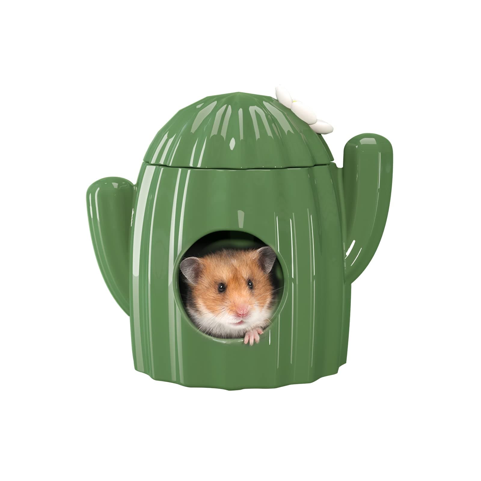 Hamster Hideout Ceramic - Cactus Shape Hamster House and Habitats Cool Bed Ideal for Summer Dwarf Hamster Gerbil Mice Golden Bear (Green-Large)