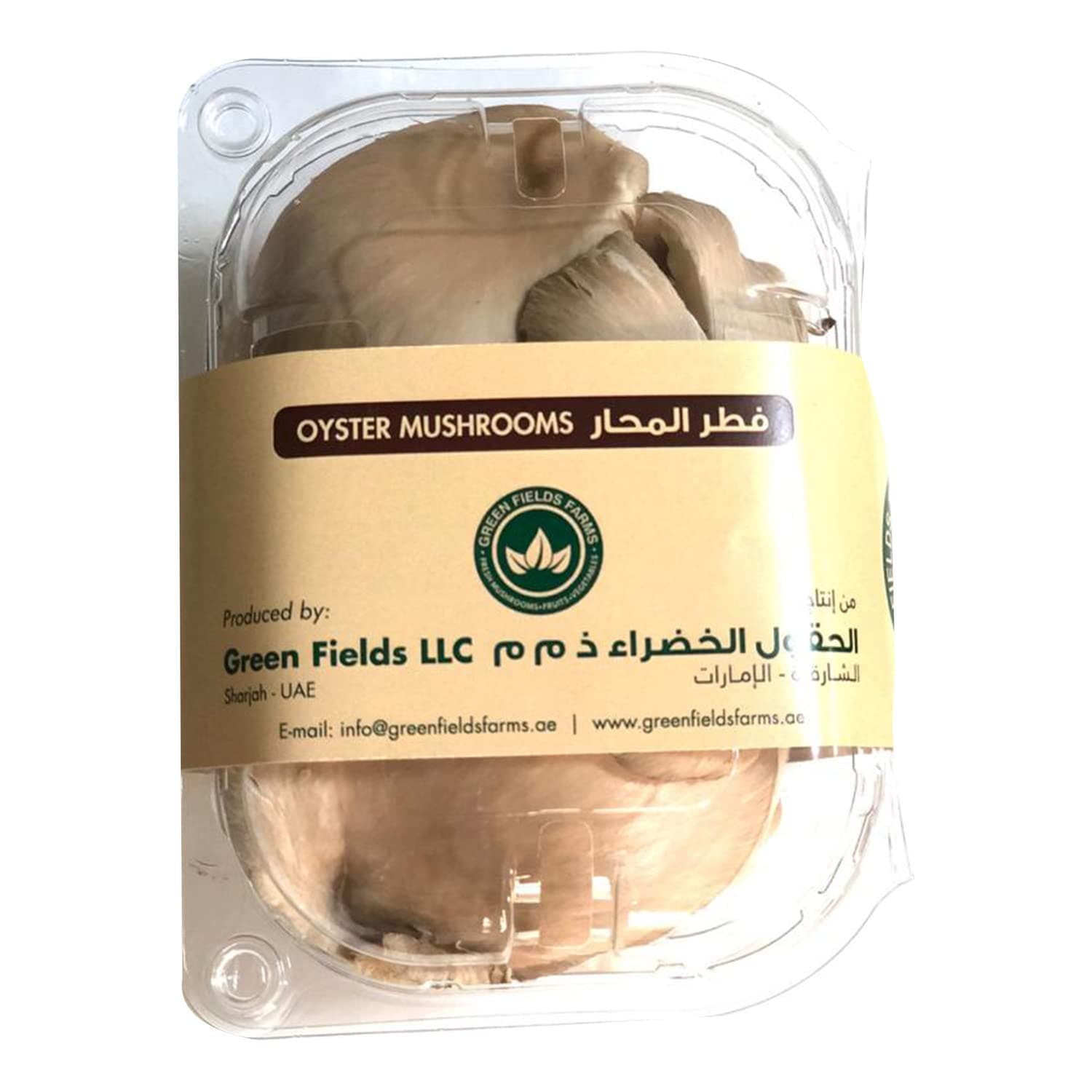 Mushroom Oyster UAE 100g