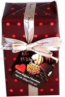 Bruyerre Assortment of Finest Belgian Chocolates 7.05 Oz Holiday Gift Box