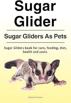 Sugar Glider. Sugar Gliders As Pets. Sugar Gliders book for care, feeding, diet, health and costs.