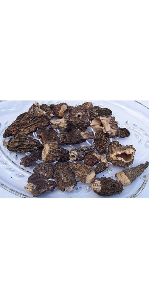 Dried Jumbo Morels