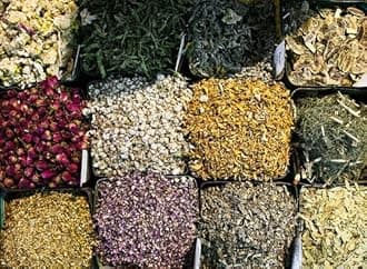 Herbal Sampler: Healing Herbs