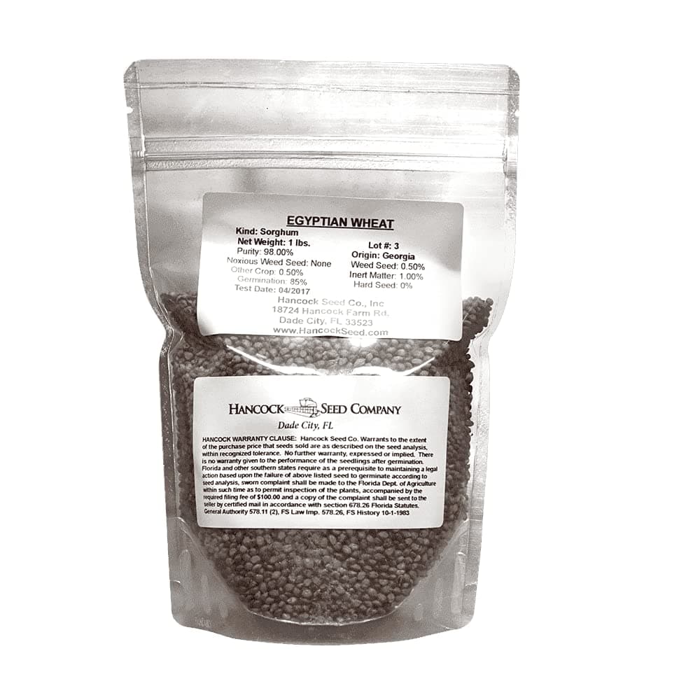 Hancock Seed Co. Egyptian Wheat Seed, 5 lbs.