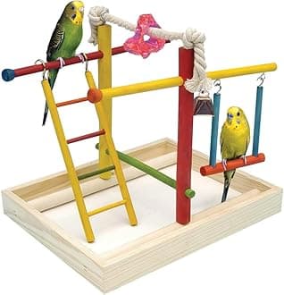 Bird Life Wooden Playpen – Perfect for Parakeets, Lovebirds, Parrotlets, Cockatiels, and Green Cheek Conures – Medium