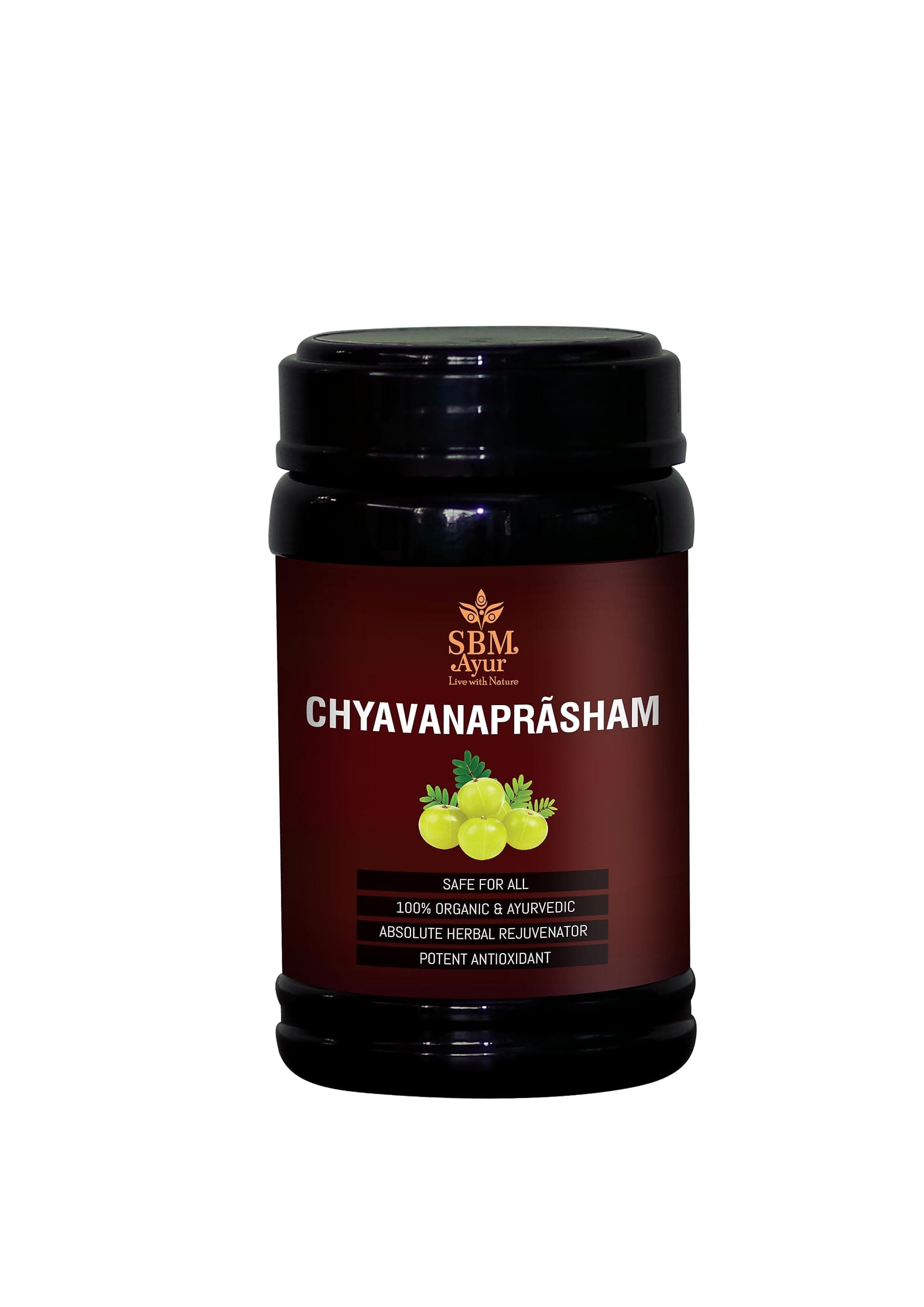 Ayur Chyavanprasham 500G