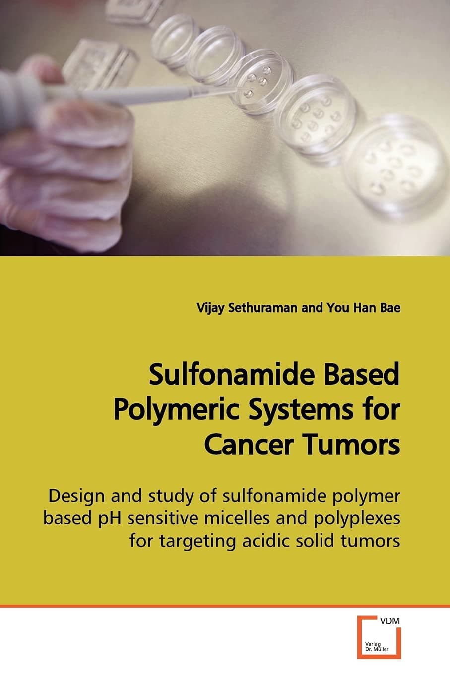Sulfonamide Based Polymeric Systems for Cancer Tumors: Design and study of sulfonamide polymer based pH sensitive micelles and polyplexes for targeting acidic solid tumors