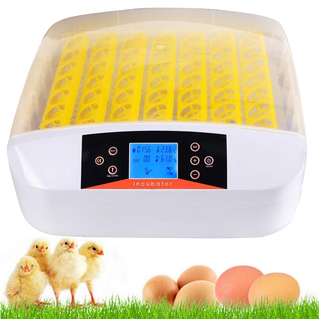 Anfan Automatic 48 Digital Clear Egg Incubator Hatcher Egg Turning Temperature Control 80W US Plug (56egg)