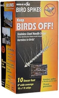 Stainless Steel Bird Spikes