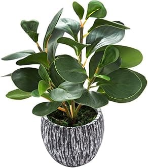 AlphaAcc Artificial Plants Real Looking and Touching Fake Plant Evergreen Plastic Fiddle Leaf Fig Plant with Rustic Black Cement Planter for Housewarming Office Desk Decor