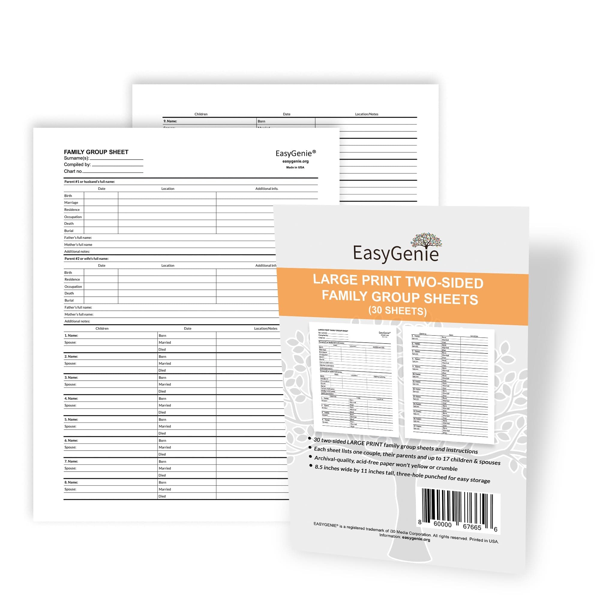 LARGE PRINT Two-Sided Family Group Sheets (30 Sheets) by EasyGenie | Archival-Quality Blank Genealogy Forms To Fill In