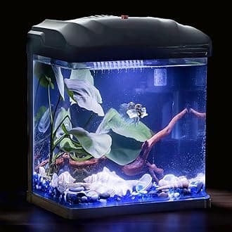 2 Gallon Fish Tank