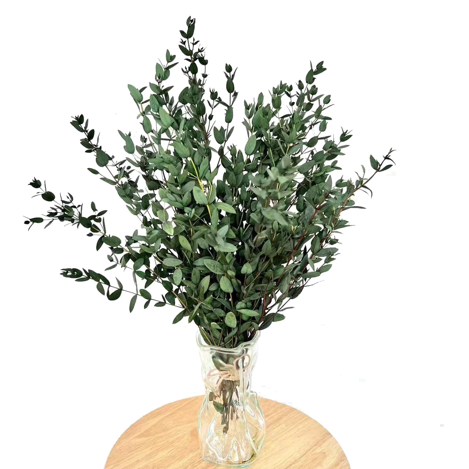 Fine leaved Eucalyptus 20 PCS Dried Eucalyptus for Shower Bundle, 17'' Real Large Preserved Eucalyptus Stems Shower Plants for Hanging, Fresh Eucalyptus Leaves, Fragrance, DIY Artificial Plant