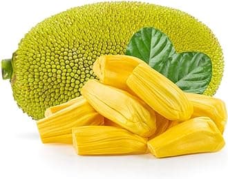 Whole Malaysian Jackfruit 12kg -/+10% – Fresh, Ripe & Naturally Sweet Tropical Fruit, Perfect for Juicing, Desserts, Vegan Recipes & Exotic Dishes