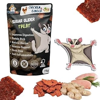 Chicken & Ginger Suger Glider Treat | Protein Rich | Anti-Inflammatory | Crunchy Healthy Snacks | 75g