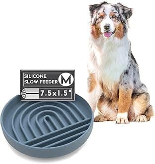 Should We Go? Slow Feeder for Dogs & Puppies, The Slowdown Bowl Silicone Slow Eating, Modern Lick Mat Design, Reduces Gulping, Fits 2 Cups, 7.5” Across x 1.5” Tall, Mealtime Challenge, Medium-Ocean