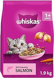 Adult Dry Cat Food 1.9kg with Salmon (Pack of 4)