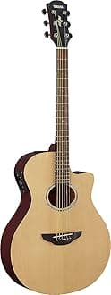 APX600M Thin Body Acoustic-Electric Guitar, Matte Finish