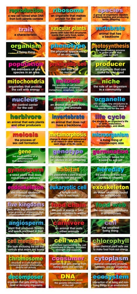 48 Life Science Testing Words Bulletin Board Set