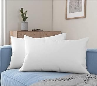 Set of 2 Microfiber Pillow Filler 16x24 Inch | Cushion Insert 40x60 cm (SS-018 * 2)