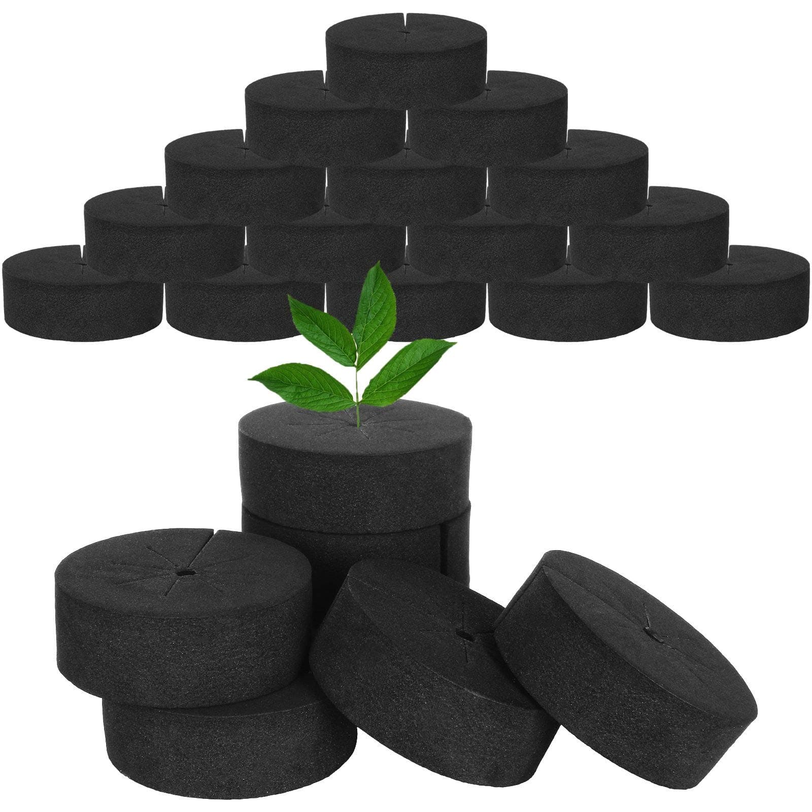 HNBun 200Pack 2” Cloning Collar Inserts, Black Garden Clone Collars Fits 2Inches Net Pots, Quality Neoprene Inserts with Advanced 8 Spoke Design for Hydroponics, Cloning, DIY Cloner and Clone Machines