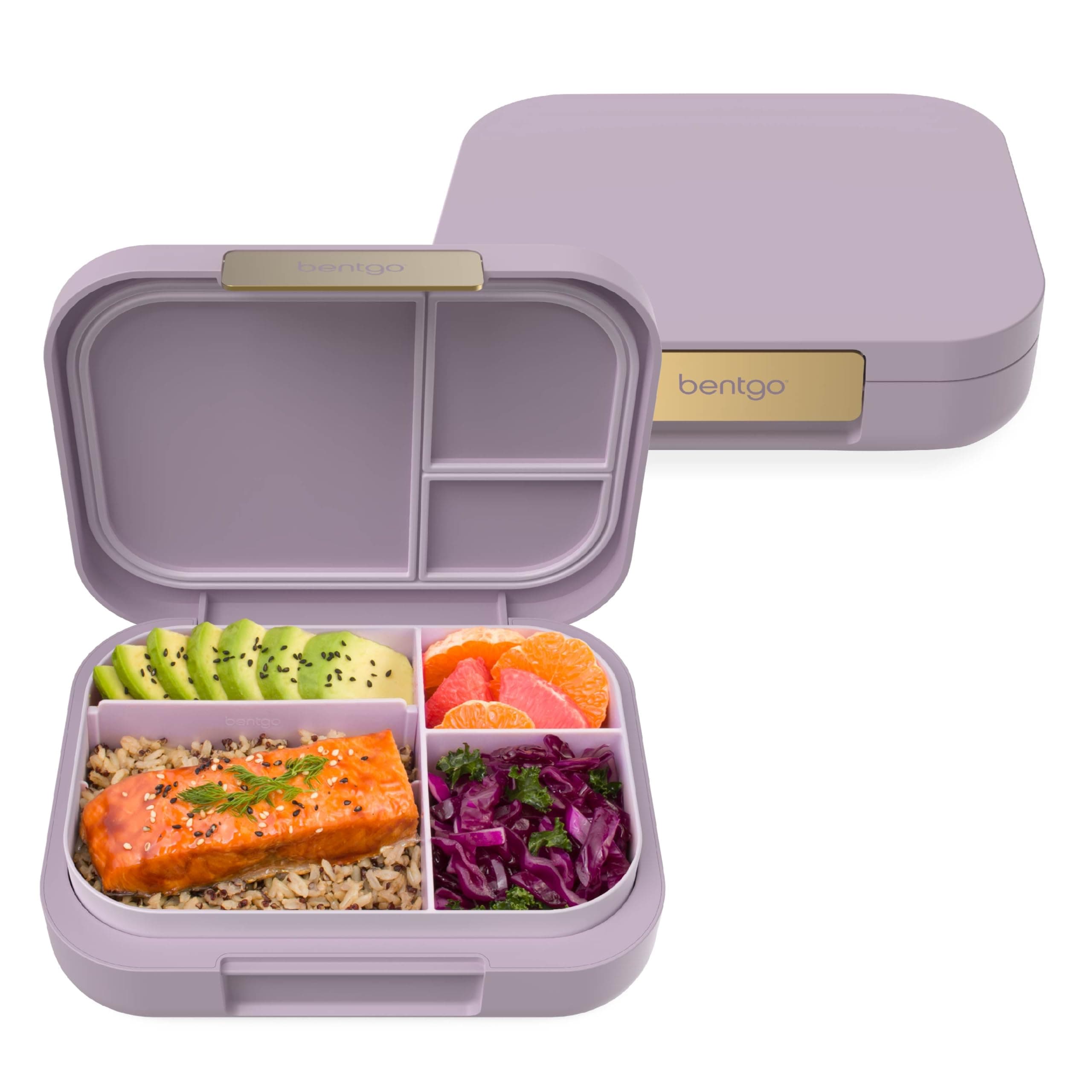 Modern - Versatile 4-Compartment Bento-Style Lunch Box, Leak-Resistant, Ideal for On-the-Go Balanced Eating - BPA-Free, Matte Finish and Ergonomic Design (Orchid)