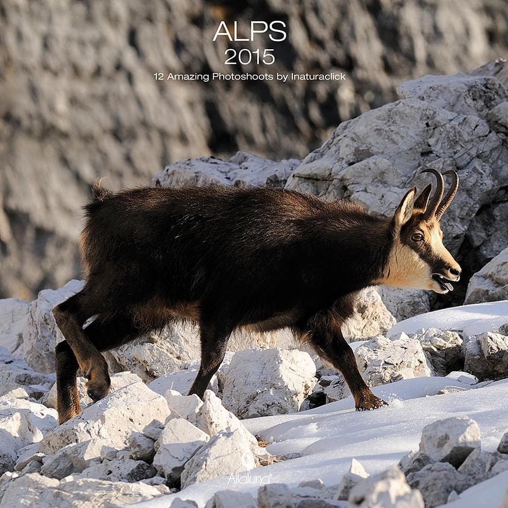 Alps 2015 Wall Calendar by Nelson Line