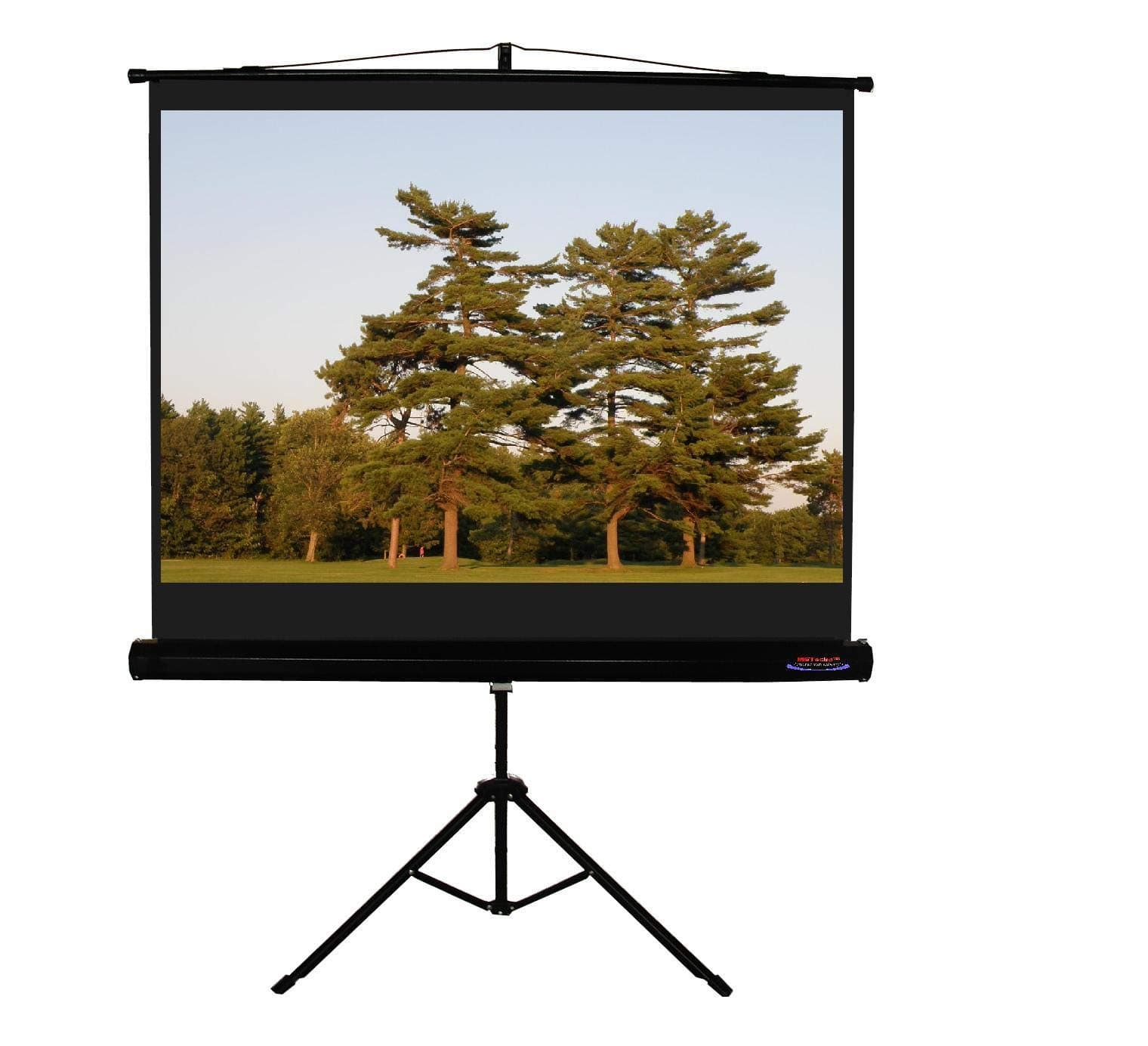 iView 150x150 Projection Screen, Matte White, Tripod Mount