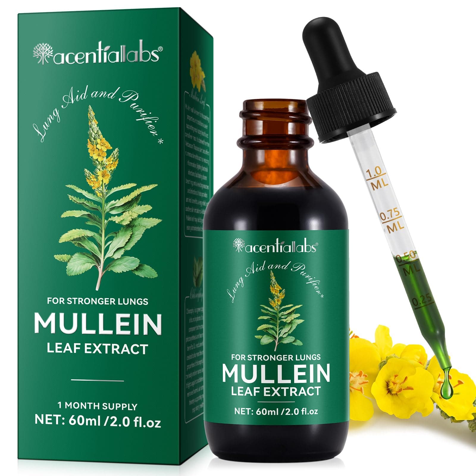 Mullein Drops Mullein Leaf Extract for Lungs Mullein Leaf Extract Drops Balance Mullein Leaf Liquid Drops Vegan Premium Mullein Leaf Extract Fast Absorption (2.02fl.oz)