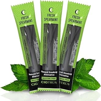 Cigtrus Natural Nicotine-Free, Tobacco-Free Smoking Alternative, Non-Electric Craving Relief, Quit Smoking Aid with Cigtrus (Fresh Spearmint) - 3 Piece
