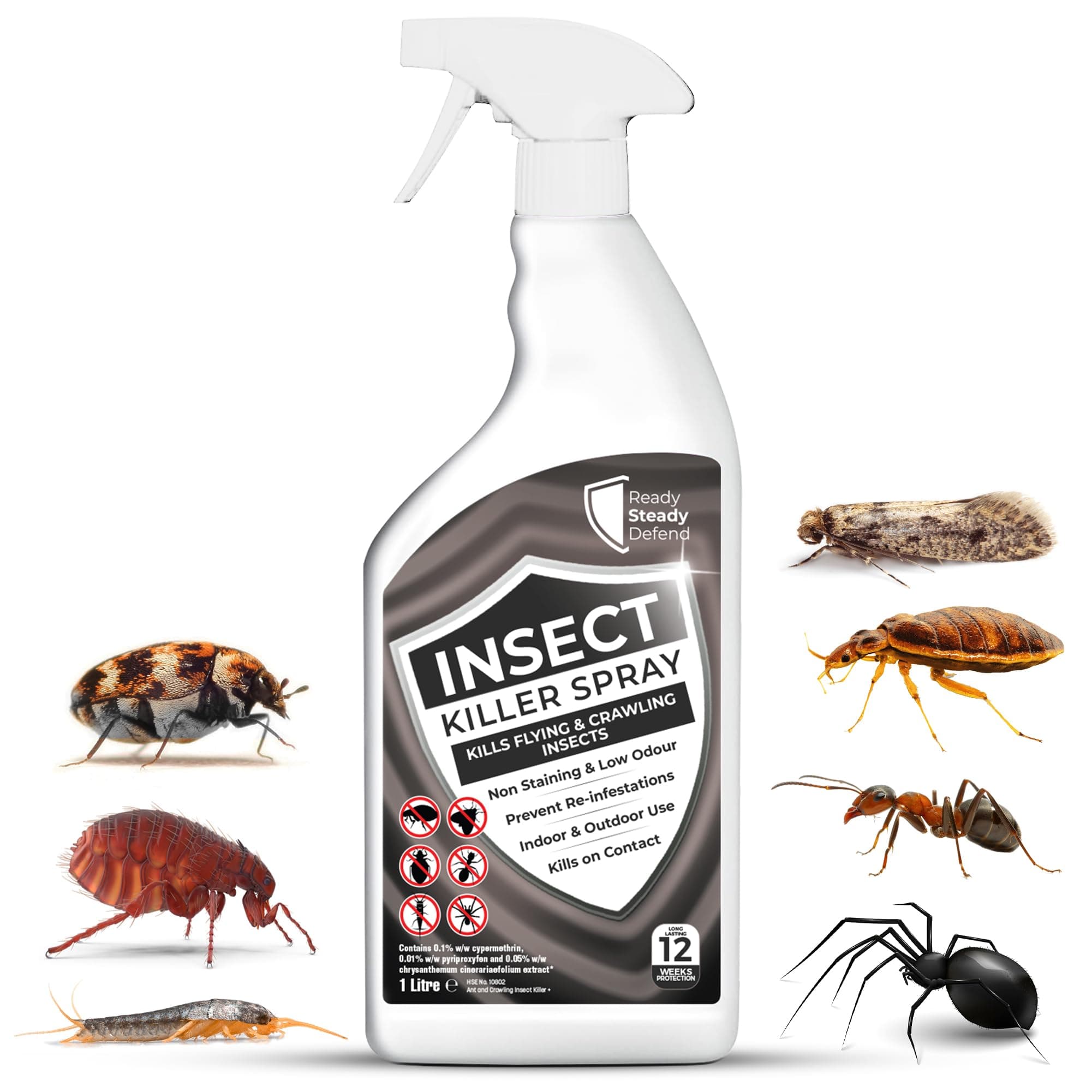 Insect Killer Spray 1L - Bed Bug, Flea, Moth, Fly, Spider, Ant Bug Spray Killer for Indoor Use, Fast-Acting, Long-Lasting Protection, Suitable for All Insects, Effective Cockroach Treatment