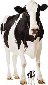 Star Cutouts SC163 Lifesize Cow Farm Animal Cardboard Cutout – 152cm | Great Farm Animal Display & Party Decoration for Fans and Collectors