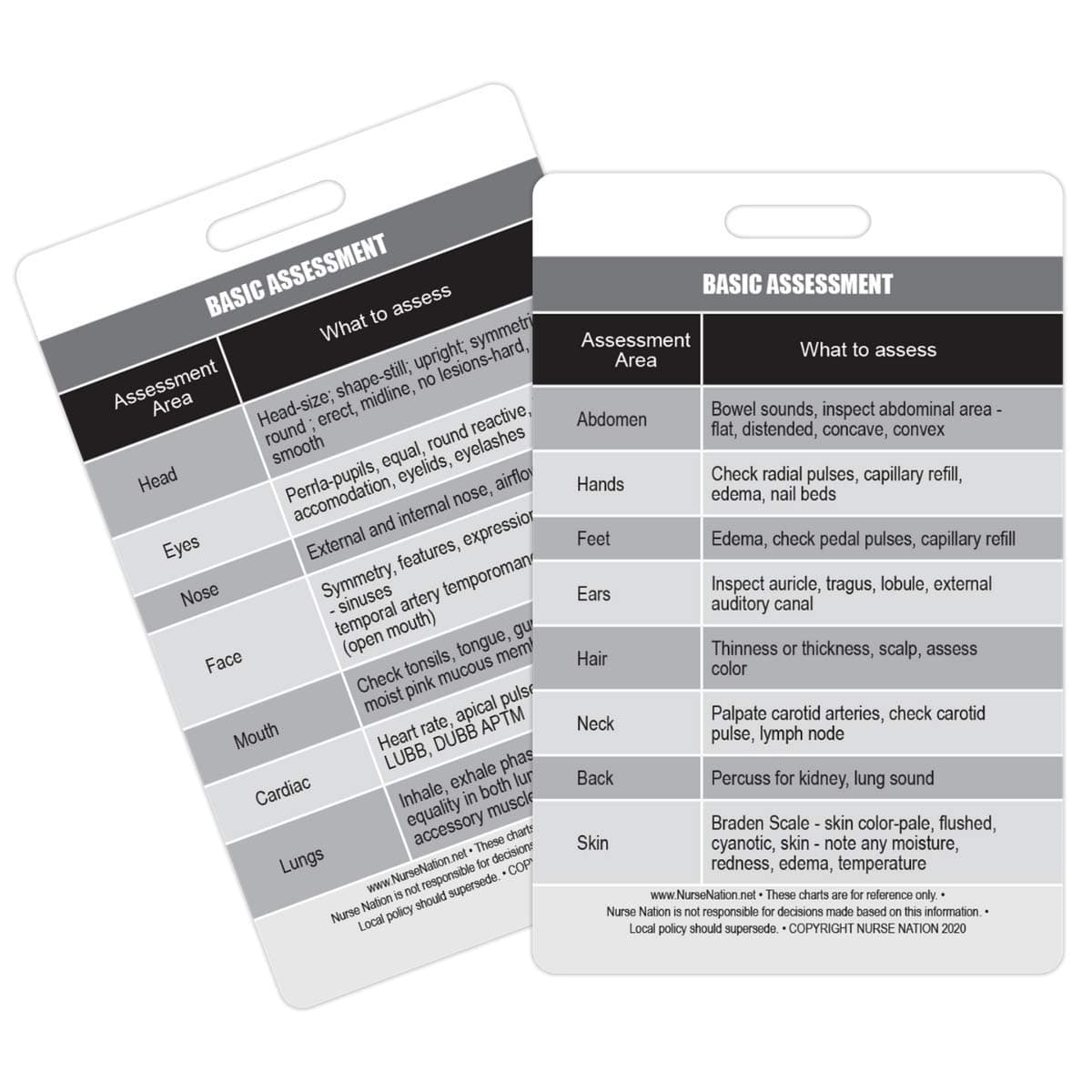 Basic Patient Assessment Reference Vertical Badge Card - Excellent Resource for Nurses, Nursing Clinicals, and RN Students - Great Nursing School Supplies and Accessories