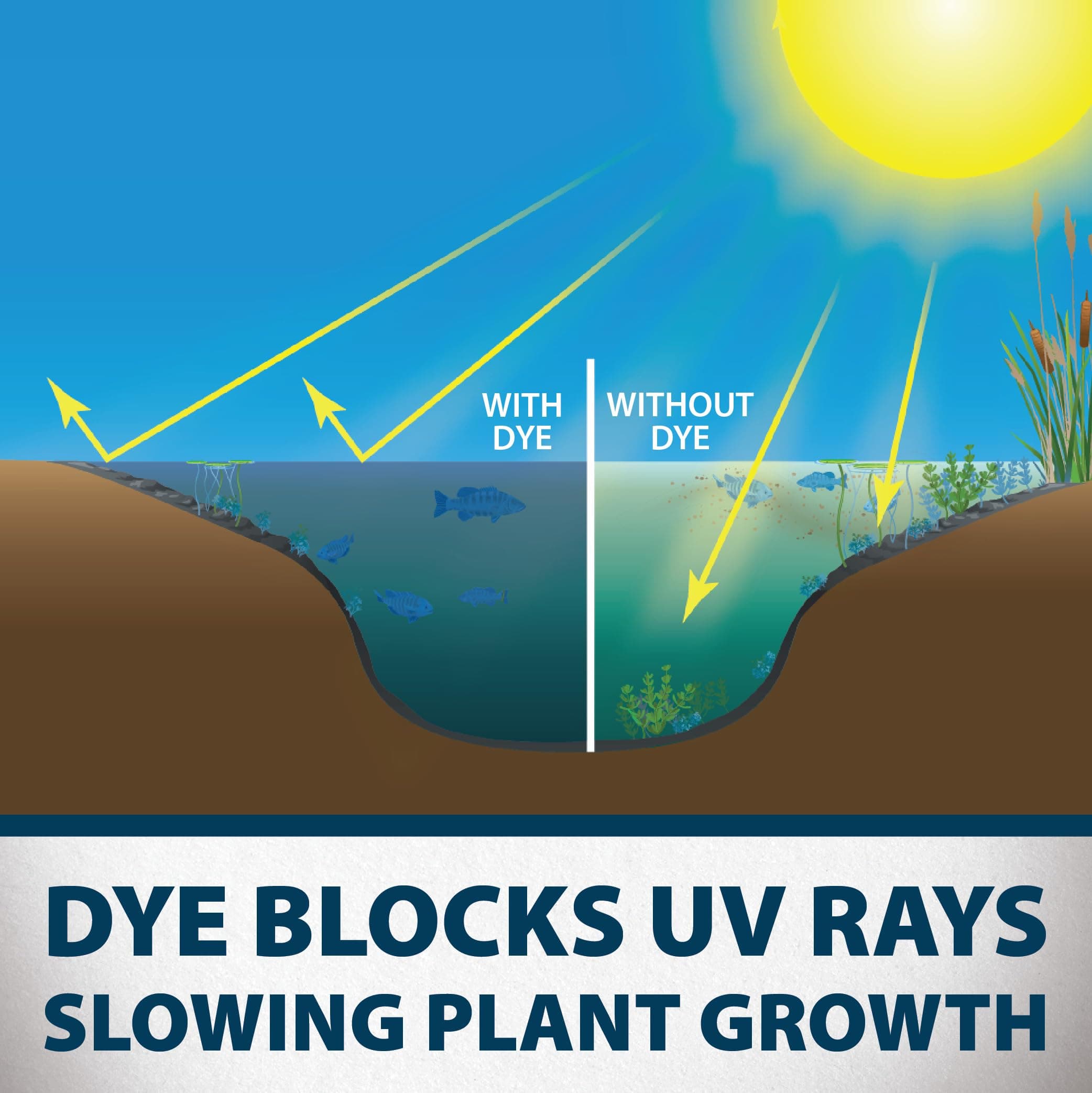 Pound Logic Natures Blue Pound Dye, WSP, 2 Pack