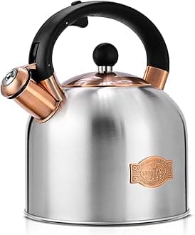 Tea Kettle - 3.17QT Whistling Kettle with Ergonomic Handle - Premium Stainless Steel Tea Pots for Stove Top, Chic Vintage Teapot with Composite Base, Work for All Stovetops (Silver)