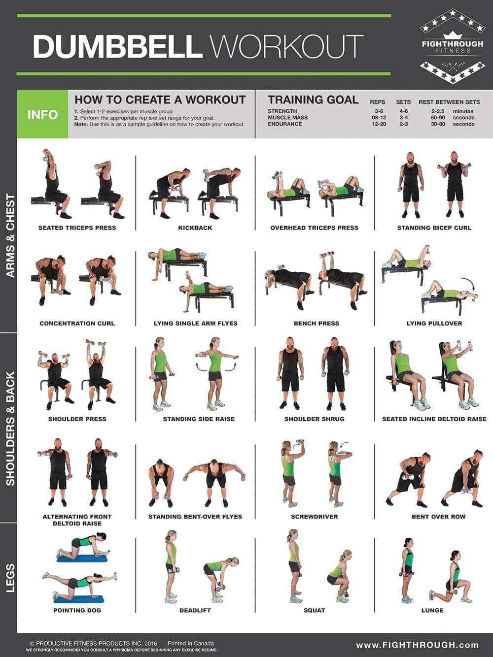 FTDL Dumbbell High Intensity Workout - Laminated Poster / Chart - Strength Training - Core - Chest - Legs - Shoulders & Back - Build Muscle, Tone Tighten - With Dumbbell Training 18"x24" Map – Wall Calendar, June 1, 2016