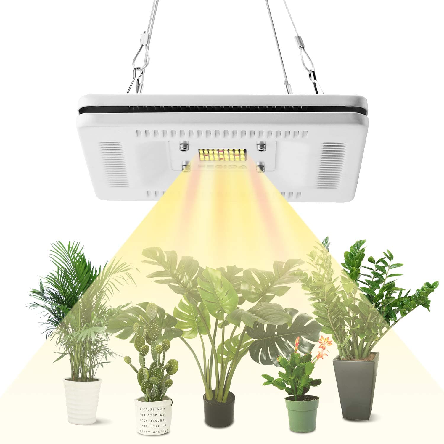 FECiDA LED Grow Light 200W