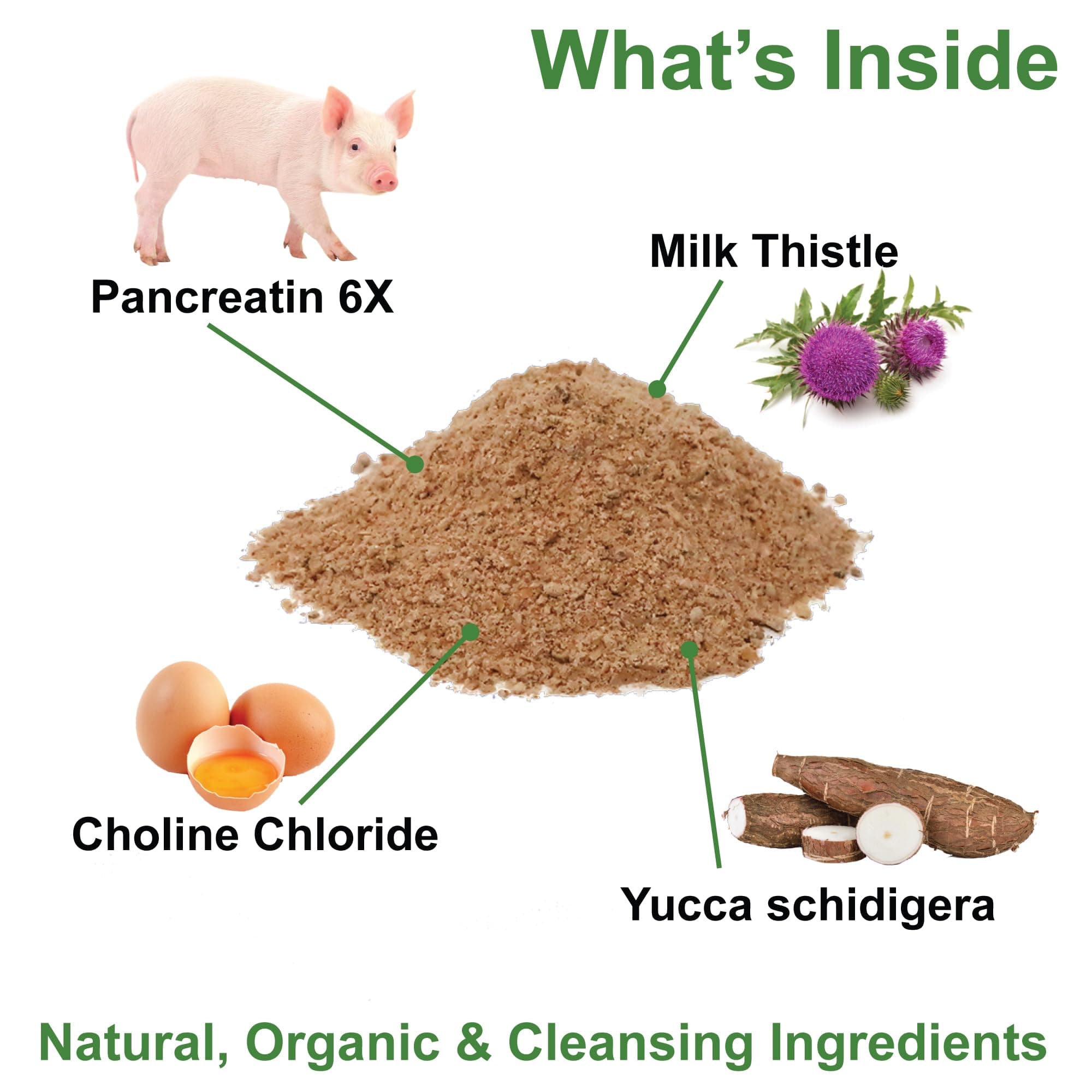 Dogzymes Pancreas Support (1 Pound)