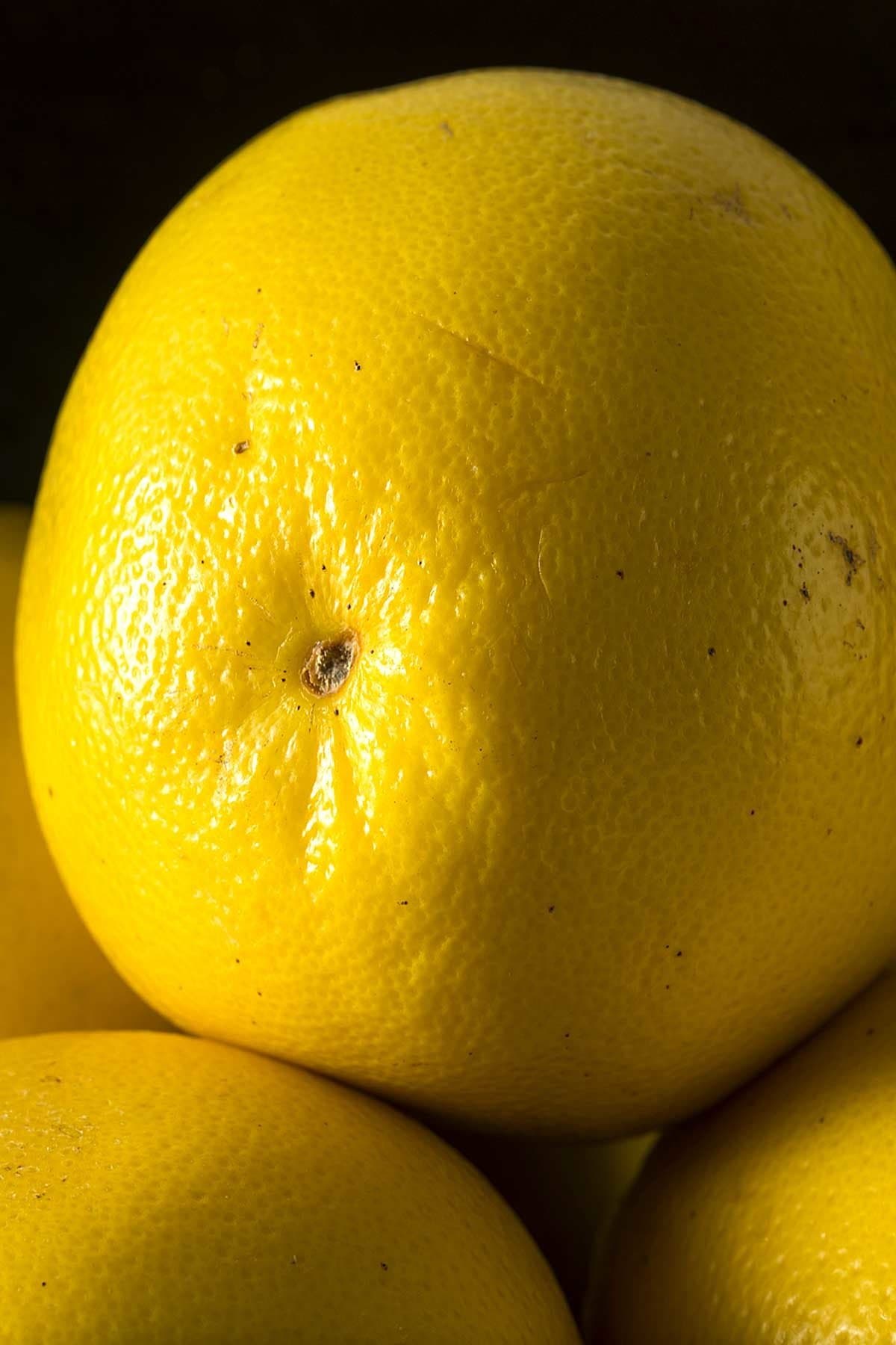 Duncan Grapefruit Tree, White Citrus (Excludes: CA,TX,LA,AZ)