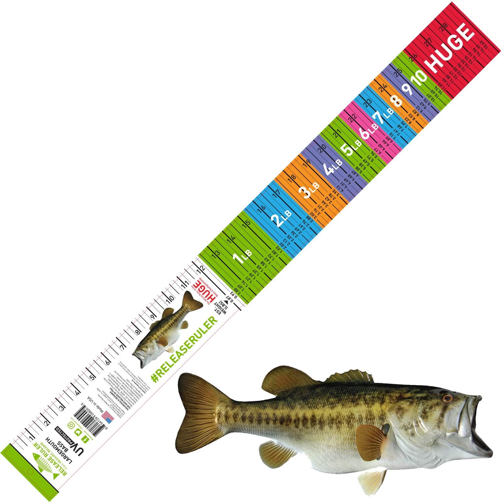 Largemouth Bass Ruler, 32" Fish Ruler