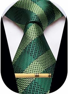 Men's Neckties Striped Tie and Plaid Neckties for Men Woven Silk Tie Gold Tie Clip Set
